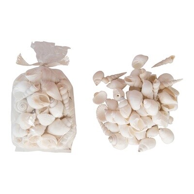 Shells in Bag