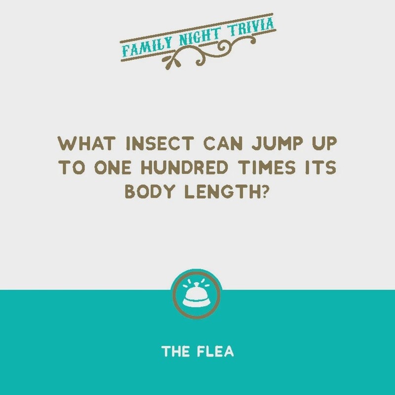 That Rings a Bell! Game: Family Night Trivia