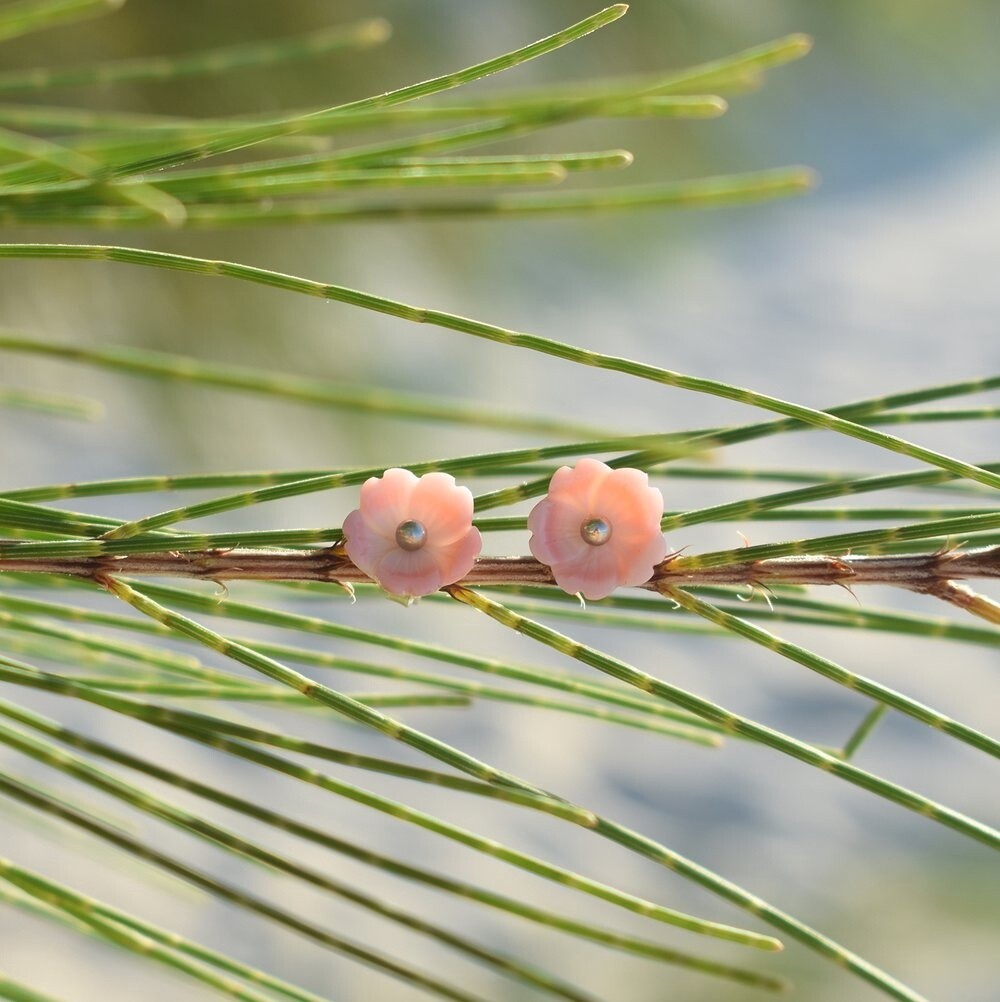Conch Studs