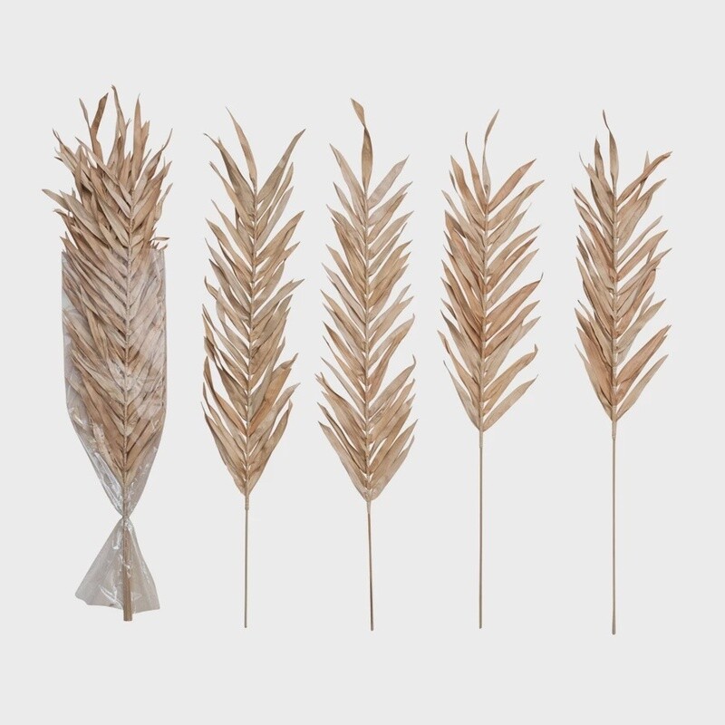Dried Natural Fountain Palm Bunch / Blush Set of 4