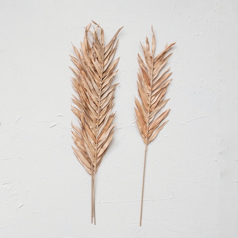 Dried Natural Fountain Palm Bunch / Blush Set of 4
