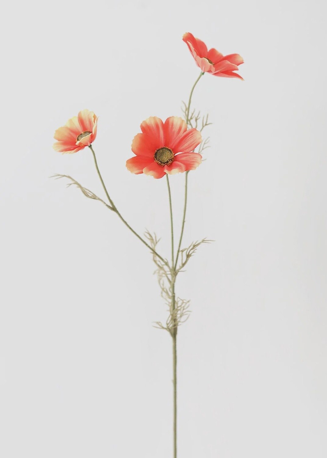 Faux Cosmos Wildflowers in Coral Sunset 30"