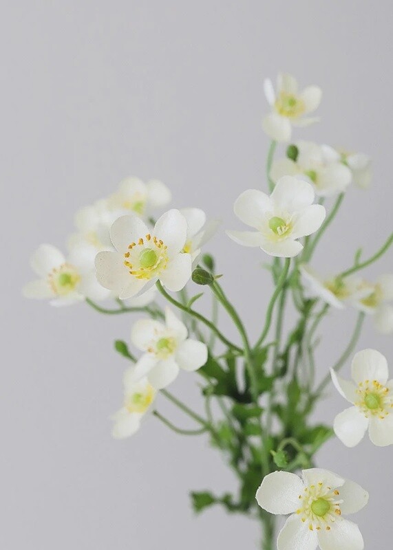 Faux Cream White Buttercups 25”