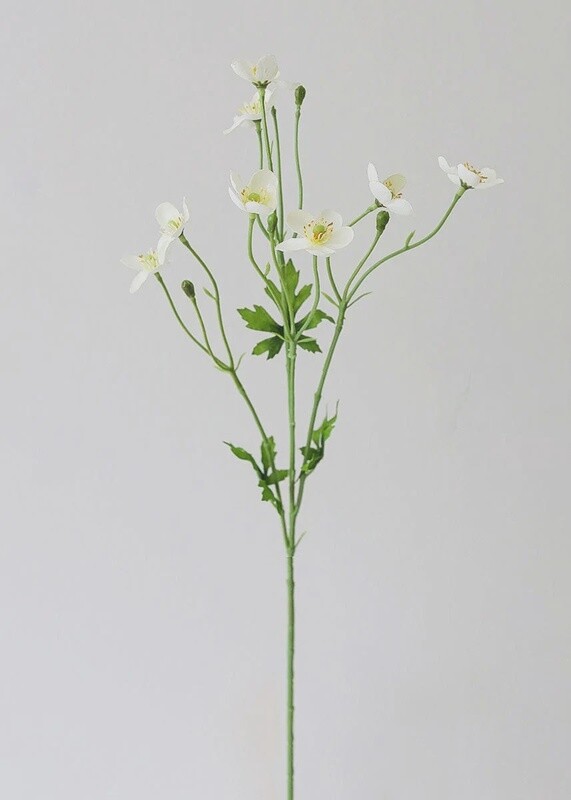 Faux Cream White Buttercups 25”