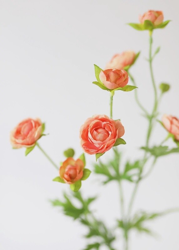 Silk Mini Ranunculus in Coral 22”