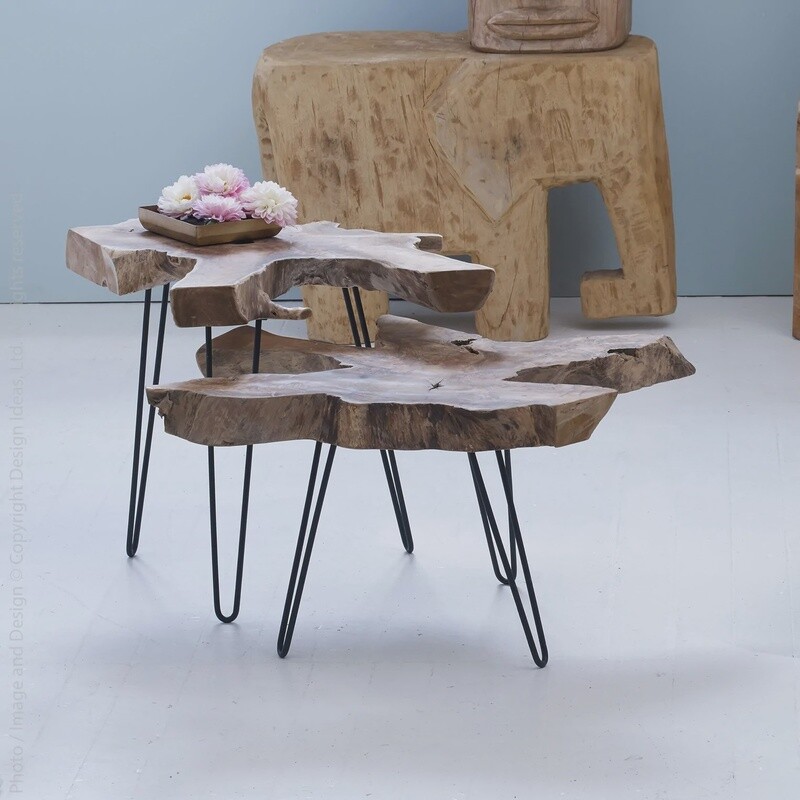Takara Teak Side Table