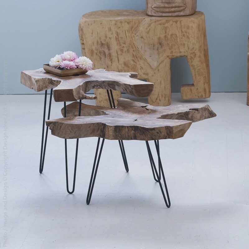 Takara Teak Coffee Table