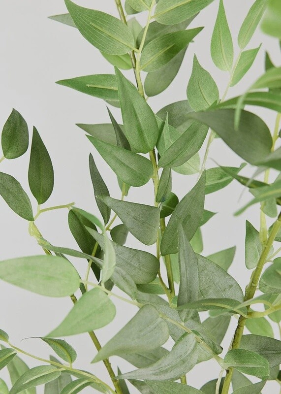 Faux Italian Ruscus Spray 46”