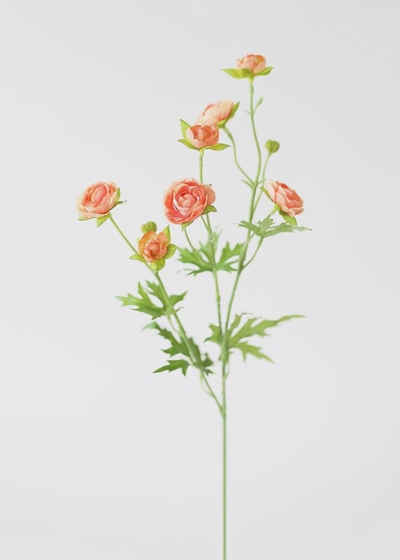 Silk Mini Ranunculus in Coral 22”