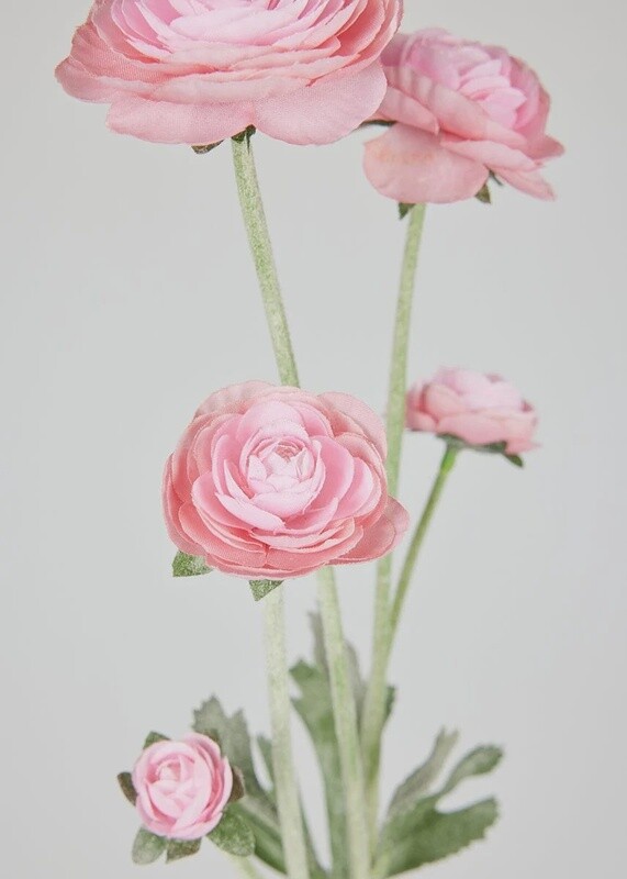 Faux Ranunculus in Soft Pink 28”