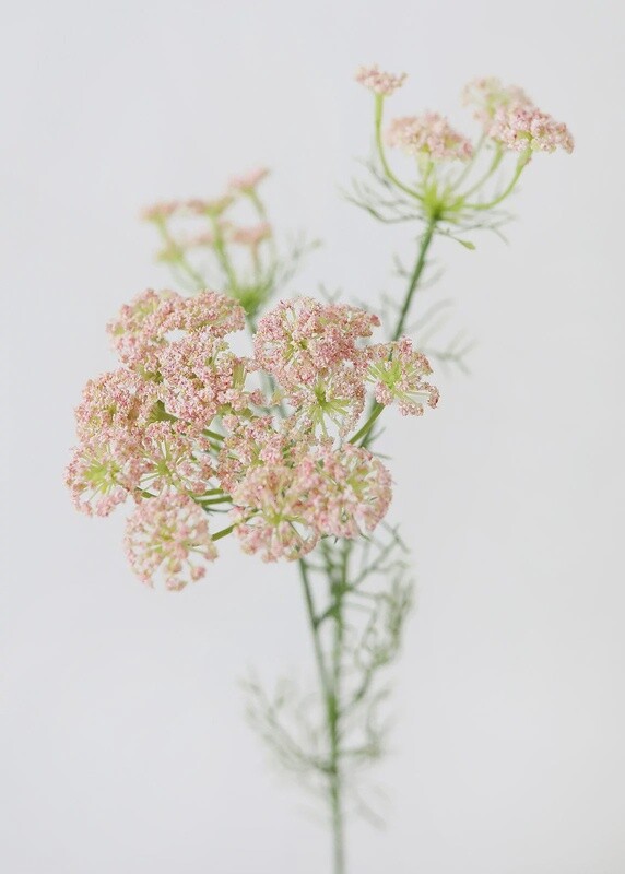 Faux Dill Wildflowers in Pink 35”