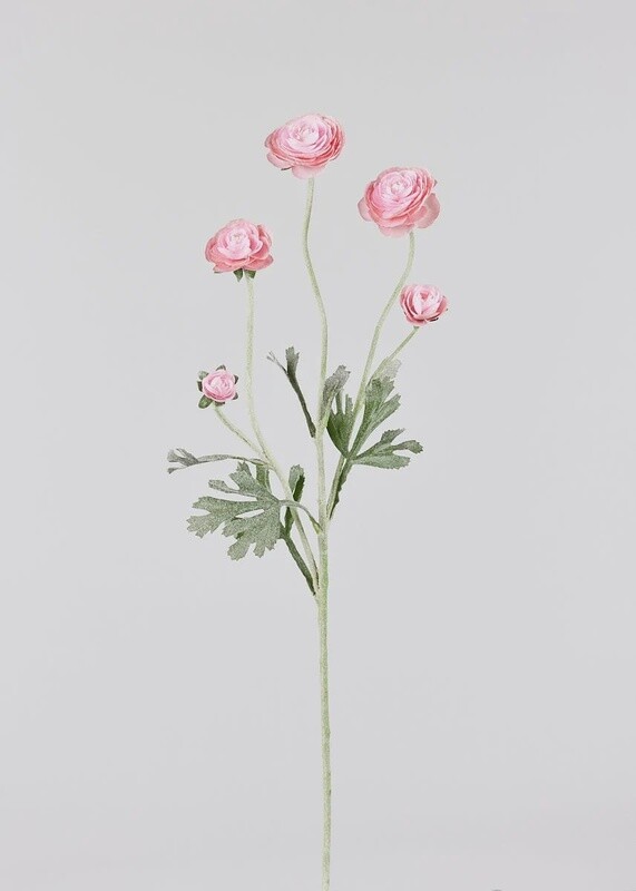 Faux Ranunculus in Soft Pink 28”