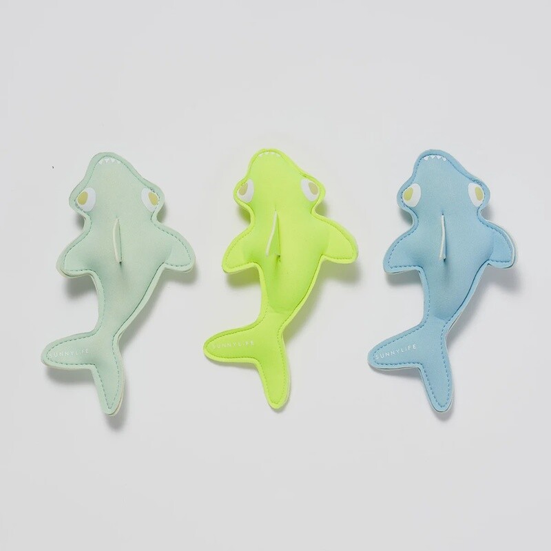 Dive Buddies / Shark Tribe Blue Neon Citrus
