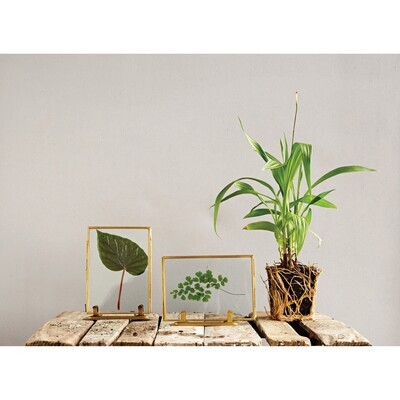 Picture Frames