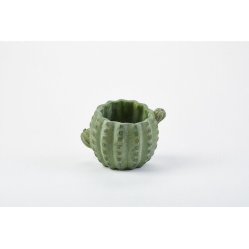Cactus Vase / Short