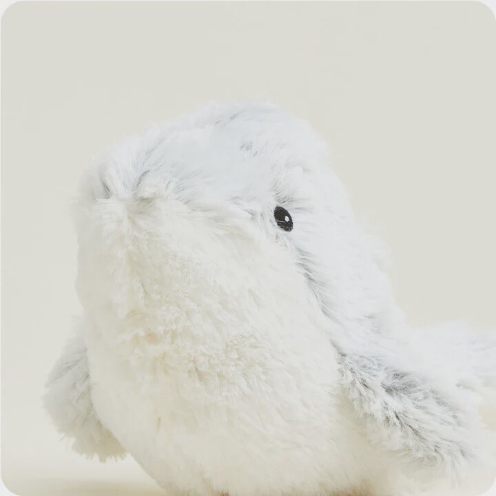 Dolphin Plush Toy