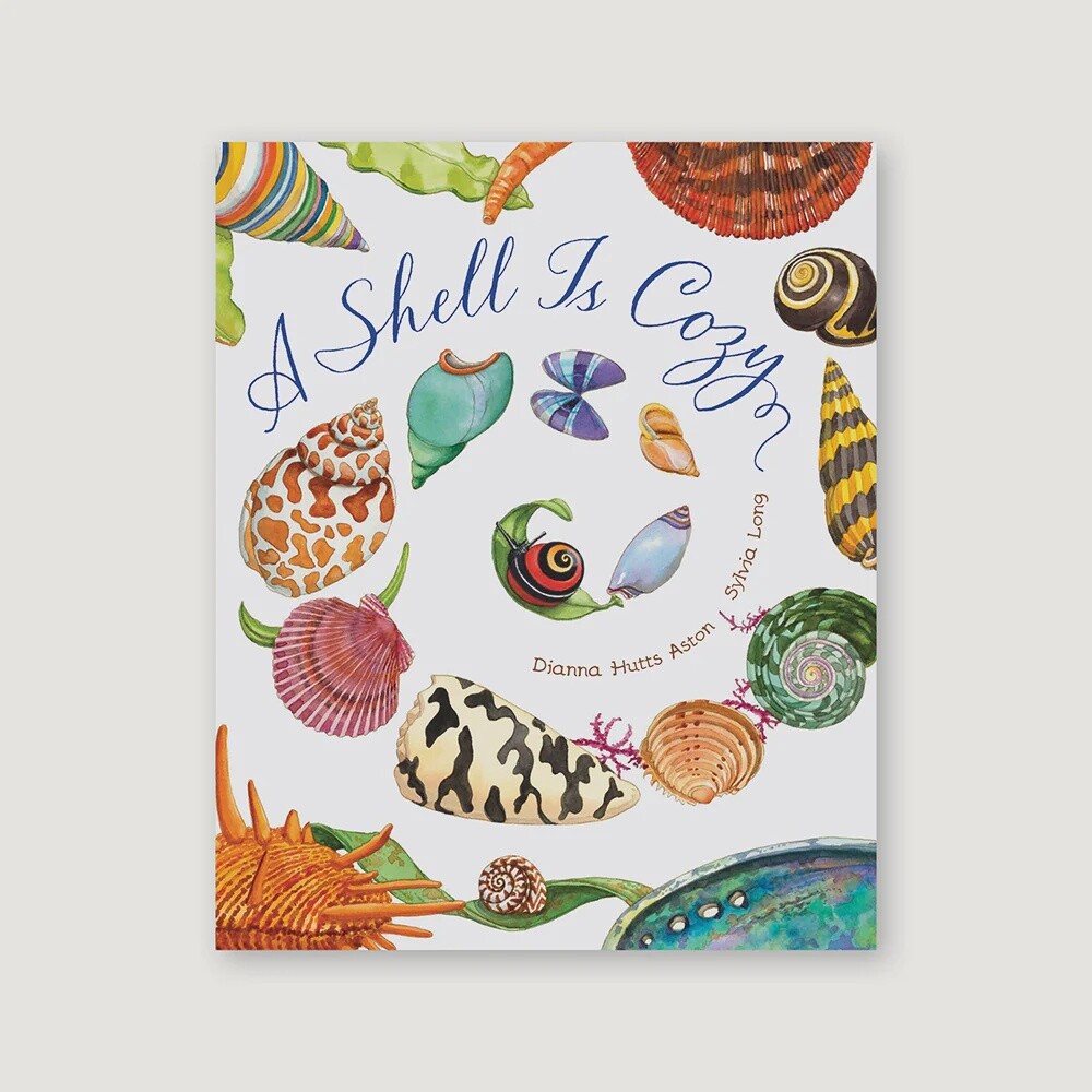 A Shell is Cozy A Shell is Cozy