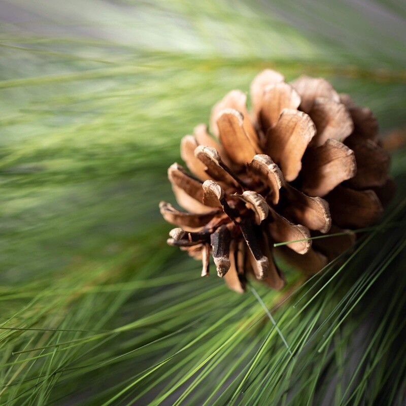 Long Pine Wreath