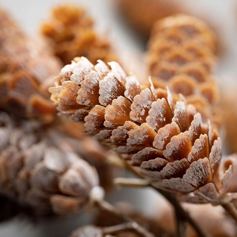 Pinecone Hanging Spray