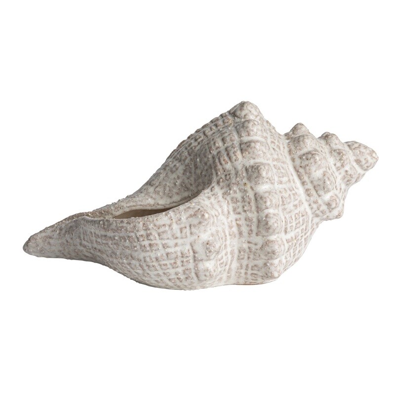 Stoneware Conch Shell