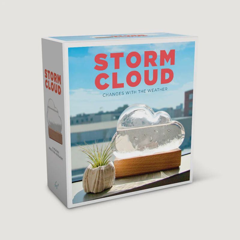 Storm Cloud: A Weather Predicting Instrument