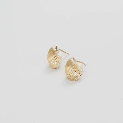 Pearl Cockle Shell Earrings / Brass