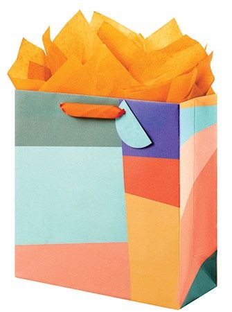 Medium Gift Bag / Modern Colour Block