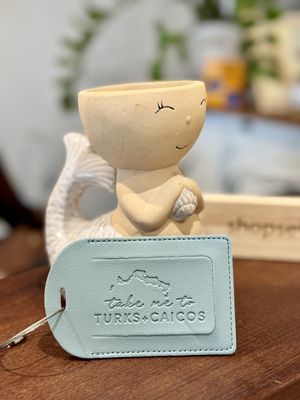 Take Me to Turks & Caicos Luggage Tag