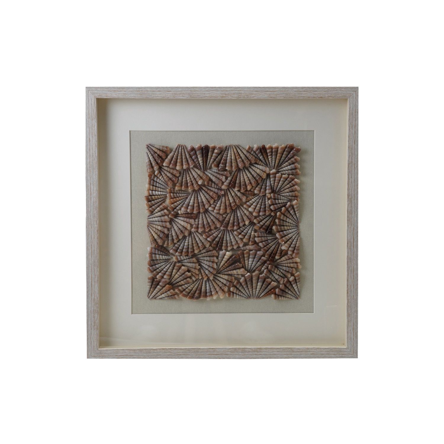 Glass Framed Shells Shadow Box Wall Decor
