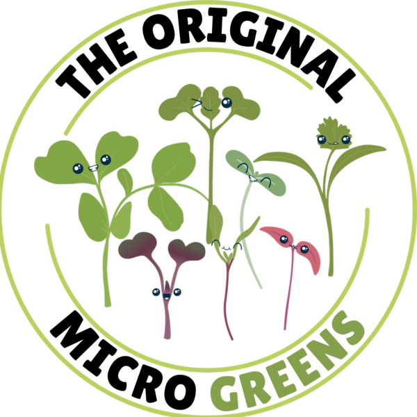 Online Superfood Store