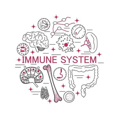 Immune system support