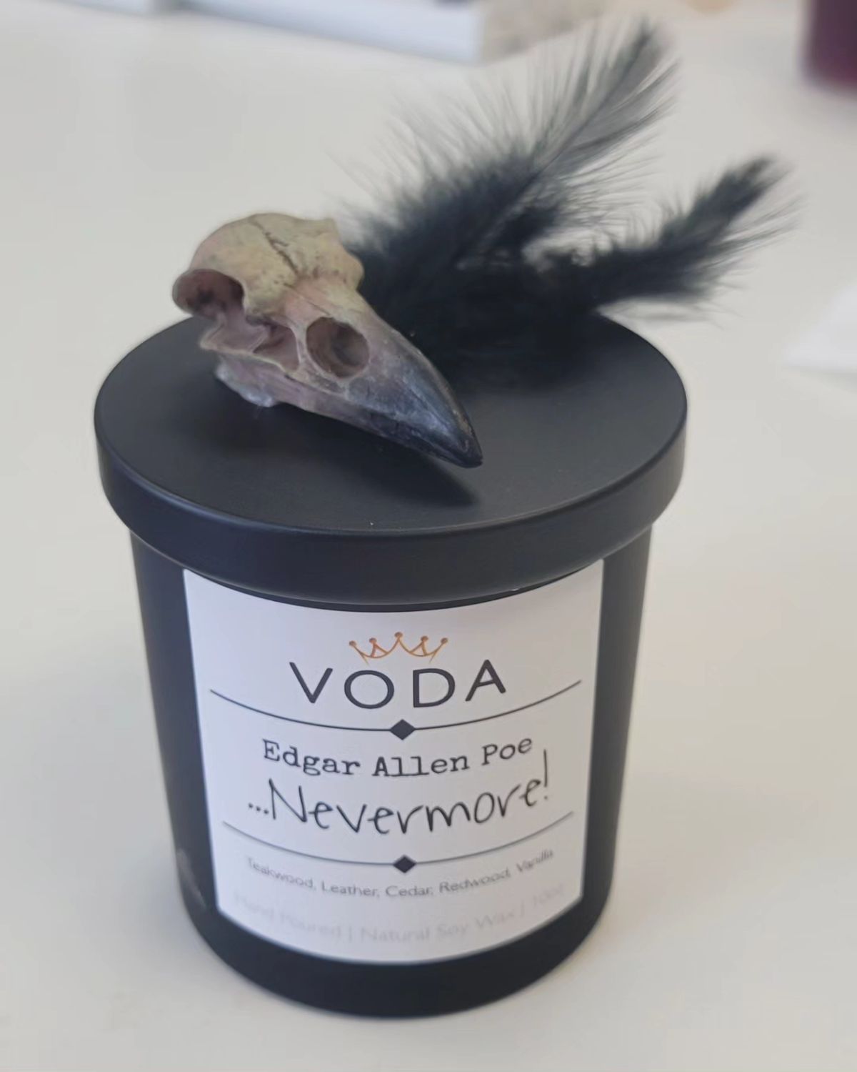 Edgar Allen Poe ...Nevermore!