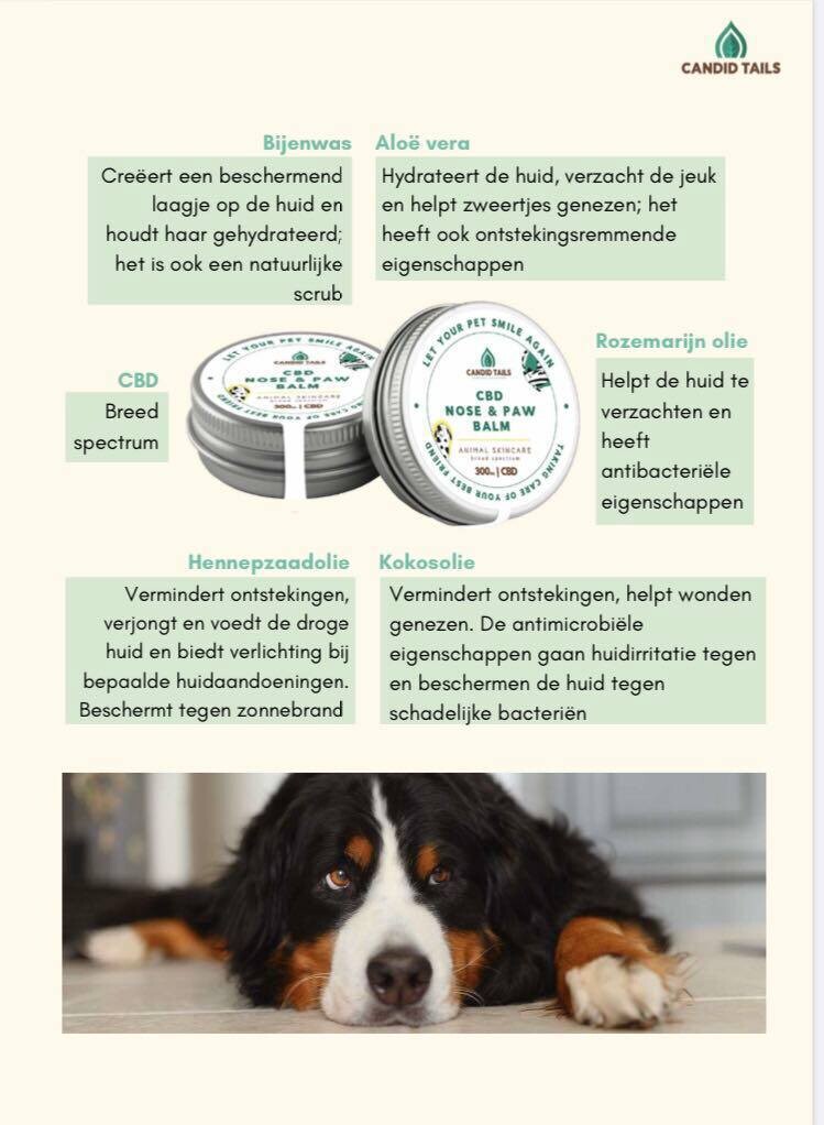 Neus, Poten &amp; Ellebogen Balsem voor honden / katten