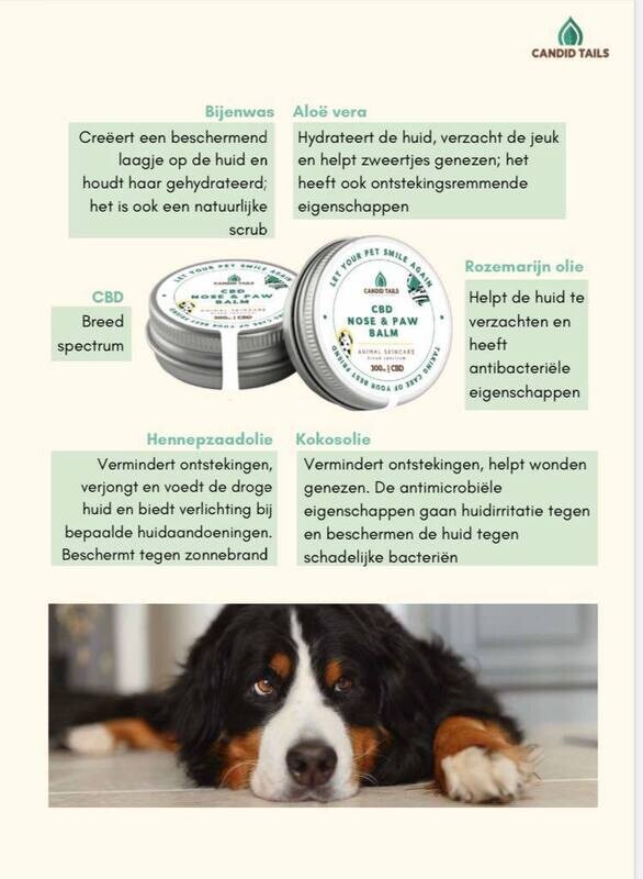 Neus, Poten &amp; Ellebogen Balsem voor honden / katten