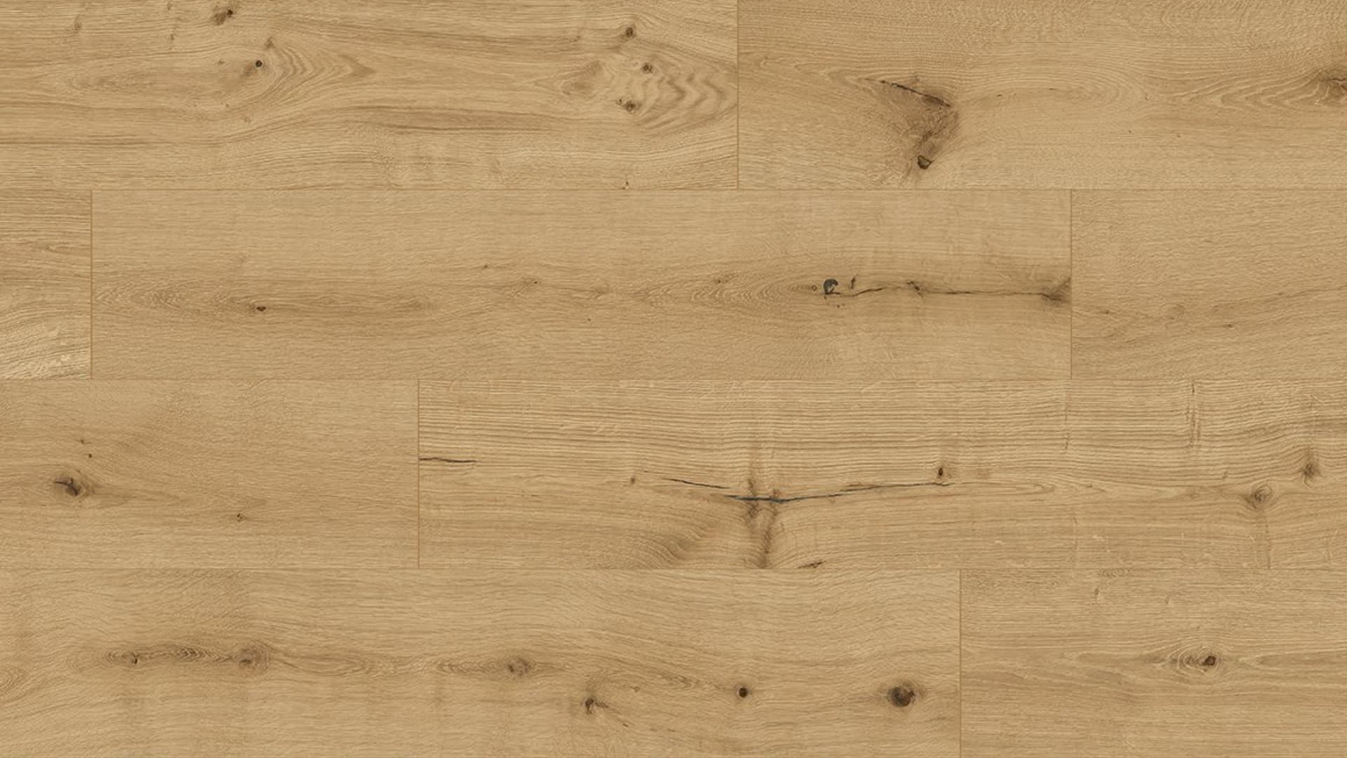 Vinylboden Solid Pro 6.0  Eiche Pisa  inklusive Trittschall