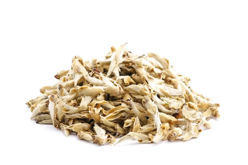 China Wild China Wild