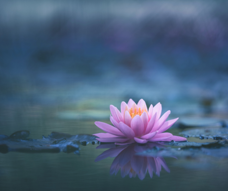 Spiritual Advising/Coaching Session