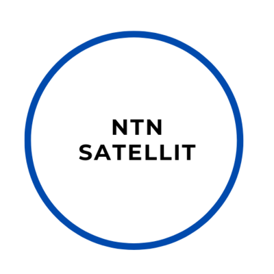 NTN, Satellitenmodule