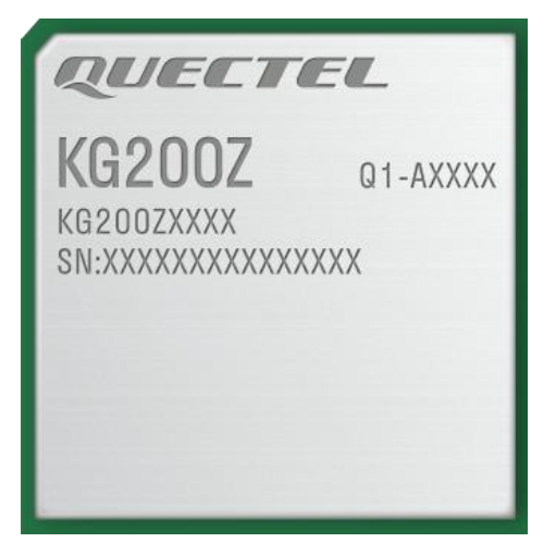 LoRa KG200Z