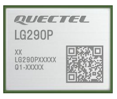 LG290P