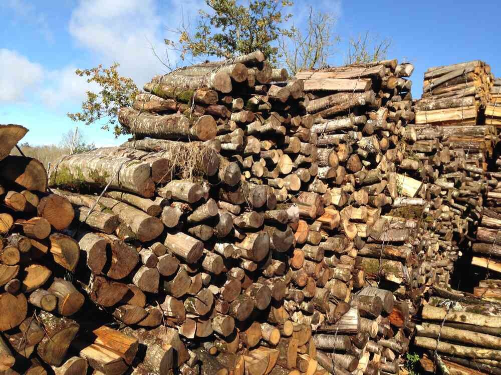 Tonne de bois