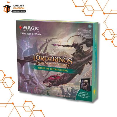 LOTR - Flight Of The Witch-King