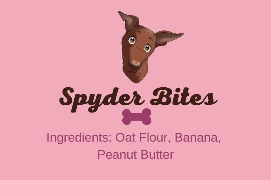 Spyder Bites