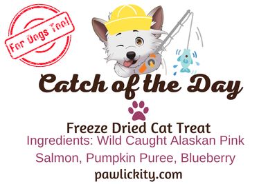 Catch of the Day - Cat Treat