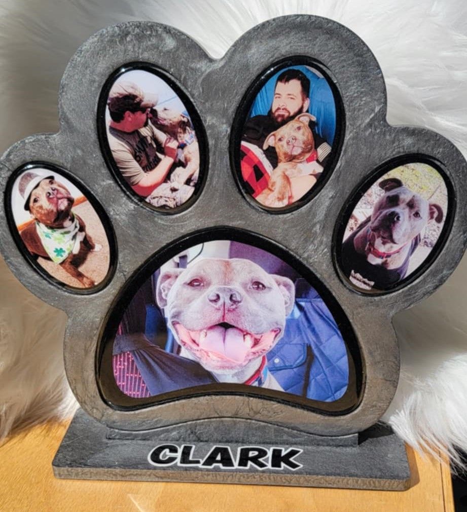 Dog Paw Memorial Plaque (You choose the colors)