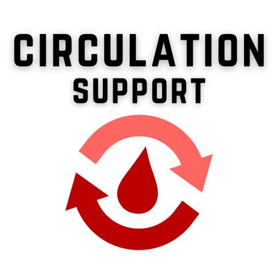Circulation Support