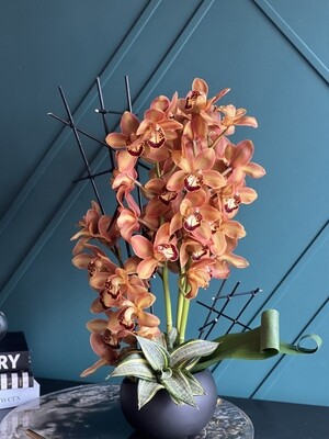 Orchids Sensation | Orchids Design In Ceramic Vase