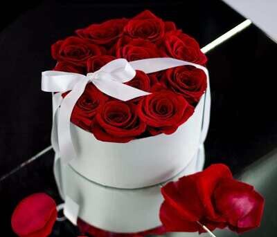 Dozen Fresh-Cut Red Roses In A Box Dozen Fresh-Cut Red Roses In A Box