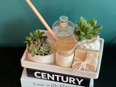 Blanco-gift set with plants