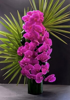 Orchids tree